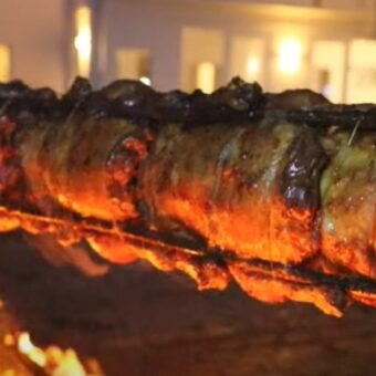 gans vom buchenholz2